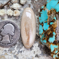 WMT Long Oval Cabochon