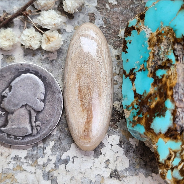 WMT Long Oval Cabochon