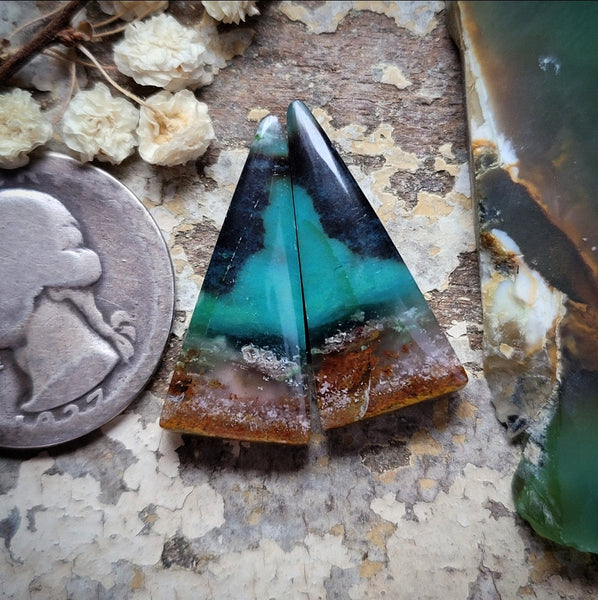 Gem Silica Earring Freeform Pair Cabochon