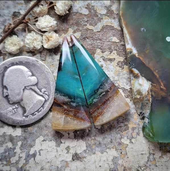 Gem Silica Earring Freeform Pair Cabochon