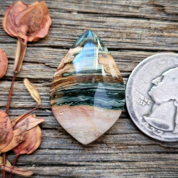 Blue Mountain Jasper Drop Cabochon