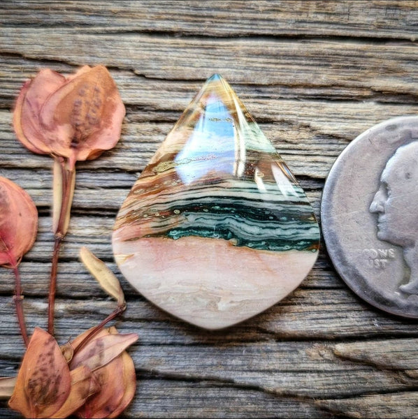 Blue Mountain Jasper Drop Cabochon