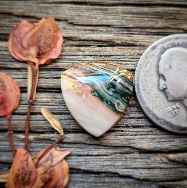 Blue Mountain Jasper Tiny Trillion Cabochon