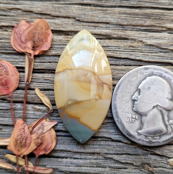 Blue Mountain Jasper Marquise Cabochon