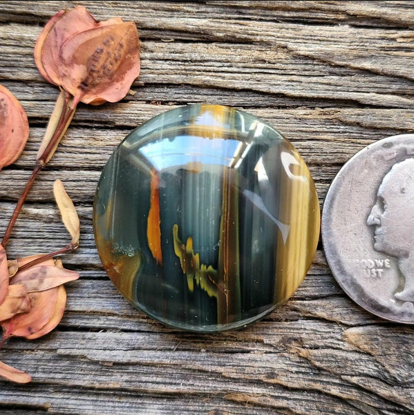 Blue Mountain Jasper Round Cabochon