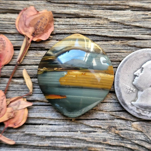 Blue Mountain Jasper Wide Marquise Cabochon