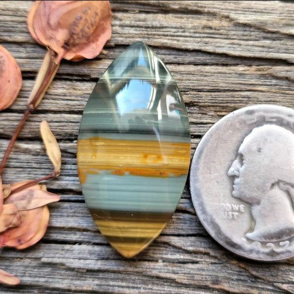 Blue Mountain Jasper Marquise Cabochon