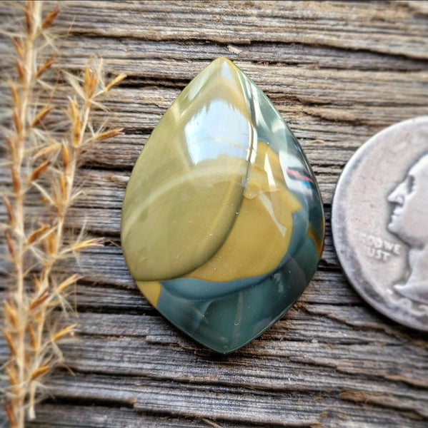 Blue Mountain Jasper Drop Cabochon