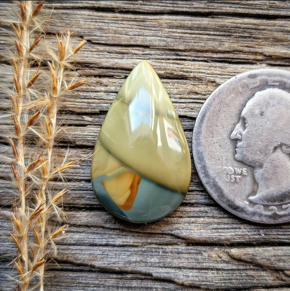 Blue Mountain Jasper Drop Cabochon