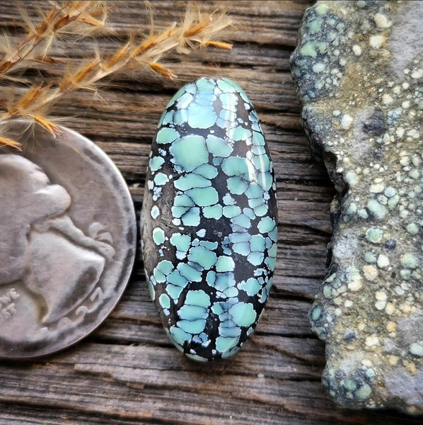 Qingu Turquoise Freeform Cabochon