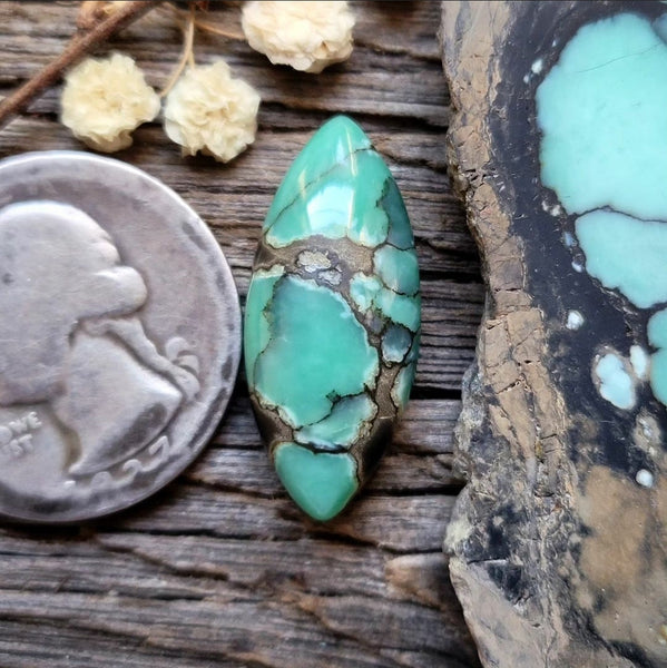 Desert Bloom Variscite Marquise Cabochon