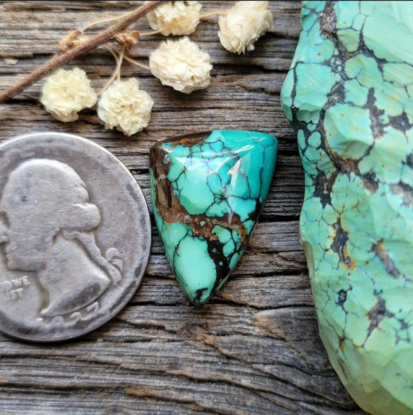 Qingu Turquoise Freeform Cabochon