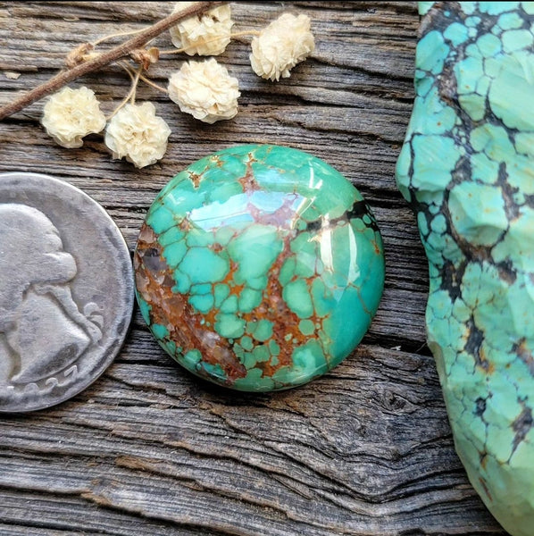 Qingu Turquoise Round Cabochon