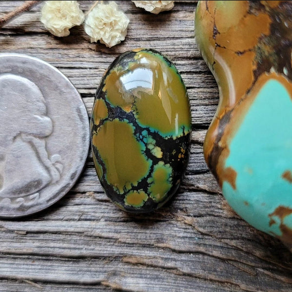 Harlequin Hubei Teal Halo Turquoise Oval Cabochon