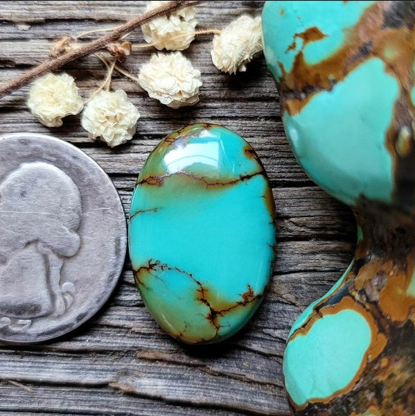 Harlequin Hubei Turquoise Oval Cabochon