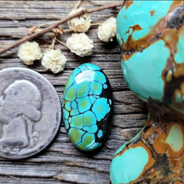 Harlequin Hubei Turquoise Oval Cabochon