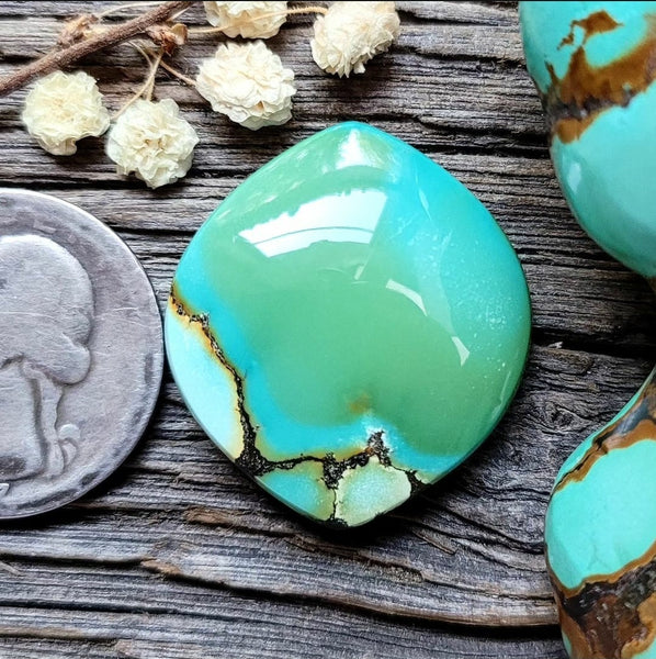 Harlequin Hubei Turquoise Wide Marquise Cabochon