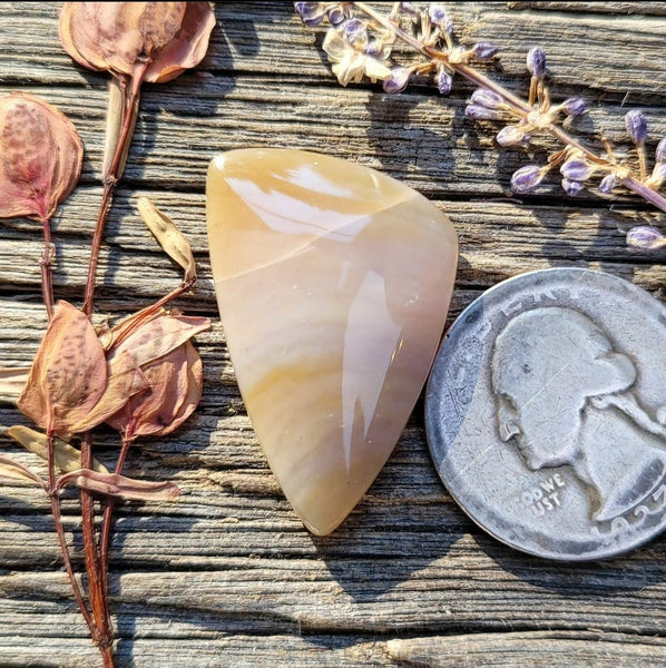 Oregon Sunset Jasper Freeform Cabochon