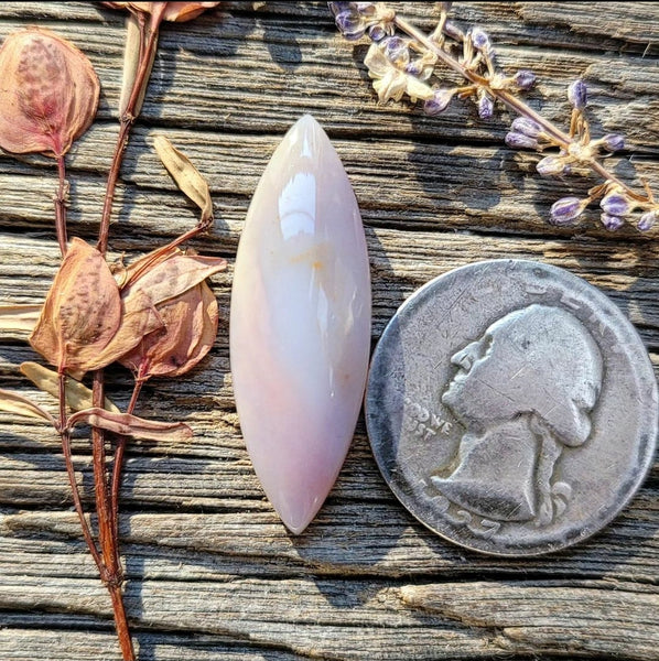 Oregon Sunset Jasper Skinny Marquise Cabochon