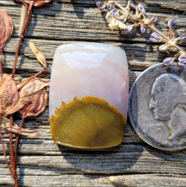 Oregon Sunset Jasper Cushion Cut Cabochon