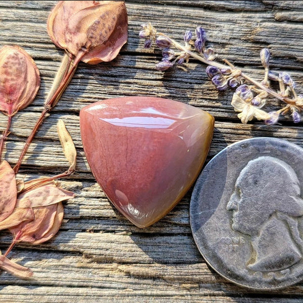 Oregon Sunset Jasper Trillion Cabochon