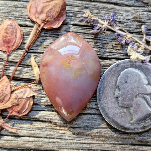 Oregon Sunset Jasper Drop Cabochon