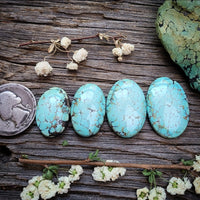 Natural Bamboo Mountain Turquoise Oval Set Cabochon