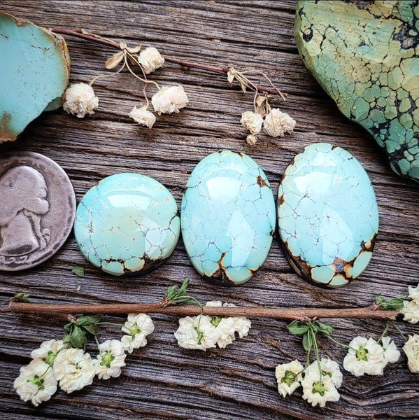 Natural Bamboo Mountain Turquoise Round Oval Set Cabochon
