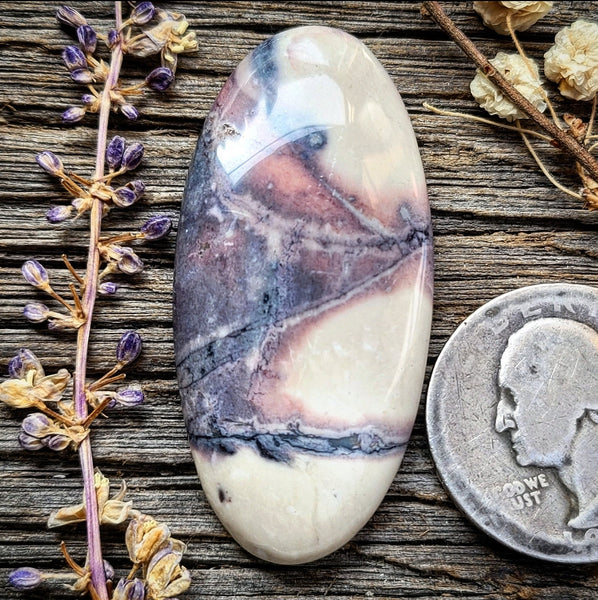 Sci-fi Porcelain  Jasper Long Oval Cabochon