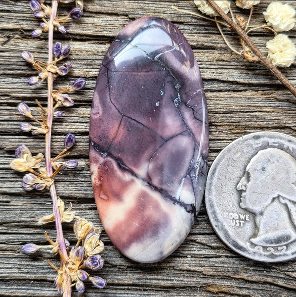 Sci-fi Porcelain  Jasper Long Oval Cabochon