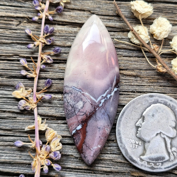 Sci-fi Porcelain Jasper Long Marquise Cabochon
