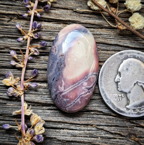 Sci-fi Porcelain Jasper Oval Cabochon