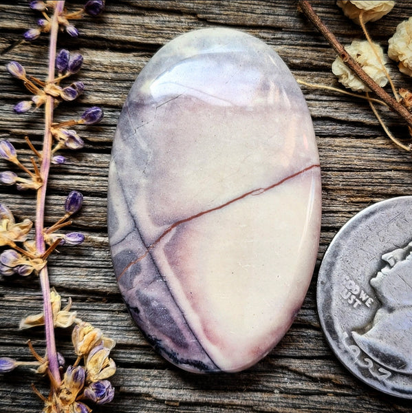 Sci-fi Porcelain Jasper Large Oval Cabochon