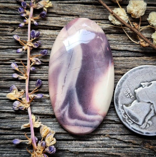 Sci-fi Porcelain  Jasper Long Oval Cabochon