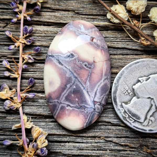 Sci-fi Porcelain Jasper Oval Cabochon