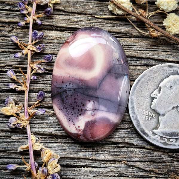 Sci-fi Porcelain Jasper Oval Cabochon