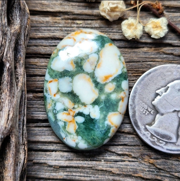 Green Cloud Chalcedony Oval Cabochon