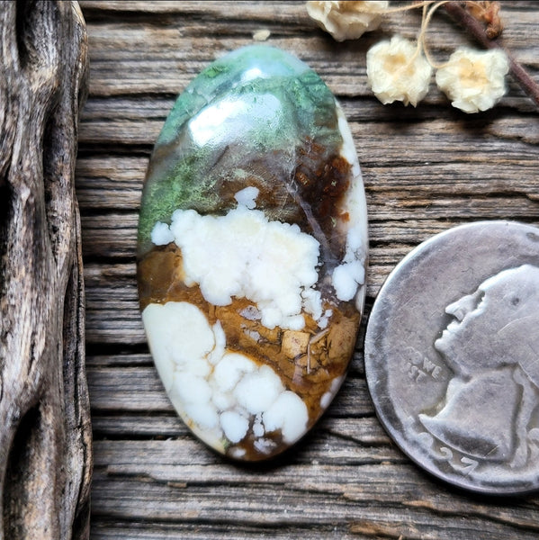Green Cloud Chalcedony Oval Cabochon