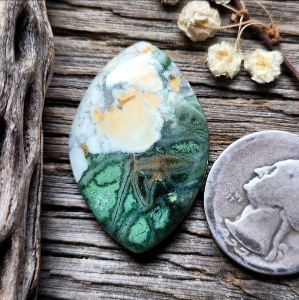 Green Cloud Chalcedony Marquise Cabochon
