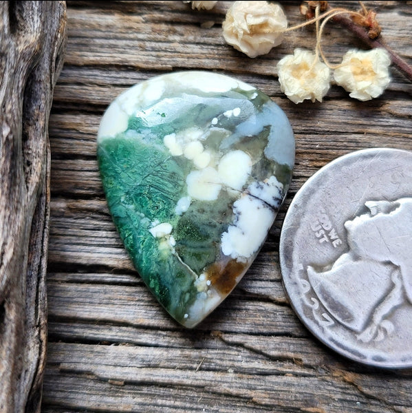 Green Cloud Chalcedony Drop Cabochon