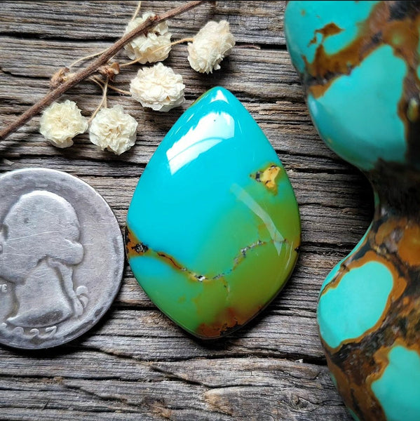 Bao Canyon Turquoise Drop Cabochon