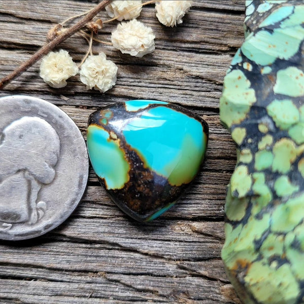 Harlequin Hubei Turquoise Trillion Cabochon