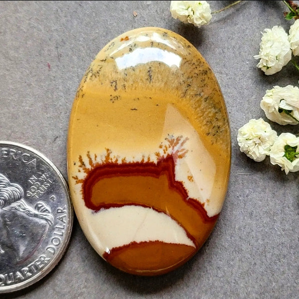 Owyhee Jasper Large Oval Cabochon