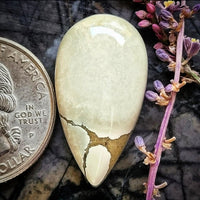 Ivory Creek Variscite Cabochon
