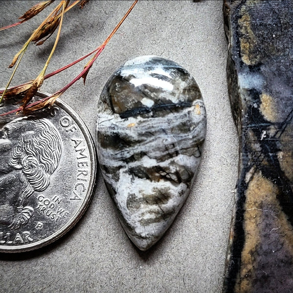 Picasso Teardrop Cabochon