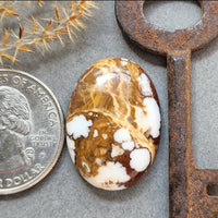 Wild Horse Magnesite Oval  Cabochon