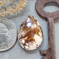 Wild Horse Magnesite Teardrop Cabochon