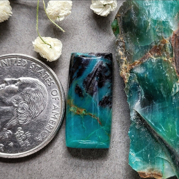 Collawood Small Bar Cabochon