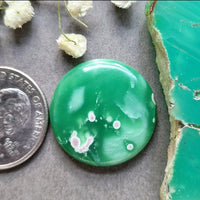 Utah Variscite Large Round Cabochon