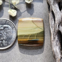 Blue Mountain Jasper Cushion Square Cabochon